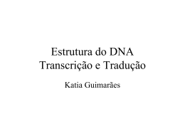 Estrutura do DNA e das proteínas, Transcrição e Tradução