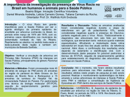 A importância da investigação da presença de Vírus Rocio