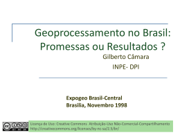 Geoprocessamento no Brasil: Promessas ou Resultados?