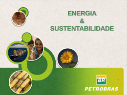 luis_cesar_energia__sustentabilidade