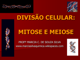 DIVISÃO CELULAR - MITOSE E MEIOSE
