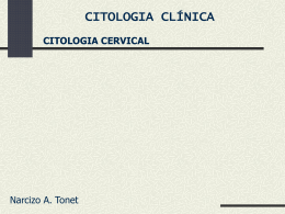 citologia cervical