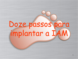 Doze passos para a implantação da IAM