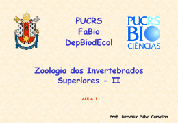 01.03 - PUCRS