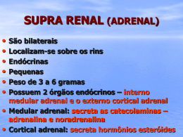 Aula Supra Renal (adrenal) 04-05-11