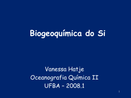 Cap2_Biogeoquímica do Si