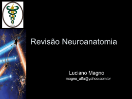 revisao-neuroanatomia