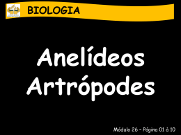 anelideos-e-artropodes