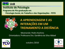 Pedro Koshino 2010 - slides dissertação