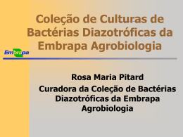 Coleção de Bactérias Diazotróficas da Embrapa Agrobiologia