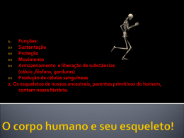 O corpo humano adulto e seu esqueleto!