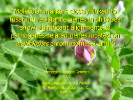 Marcadores moleculares ligados a genes de resistência a fusarium
