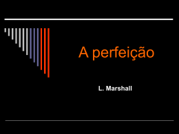 A perfeição - Leandro Marshall