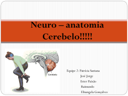 Neuro – anatomia Cerebelo
