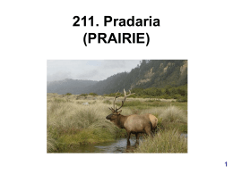 prairie - Unicamp
