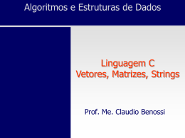 Vetor[-1] - Prof. Ms. Claudio Benossi