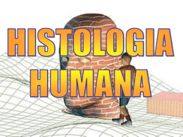 HISTOLOGIA HUMANA