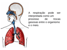 Sistema respiratório humano Função das narinas e fossas nasais