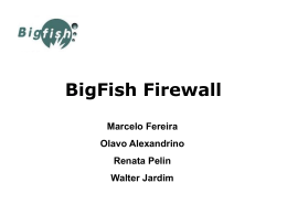BigFish Firewall