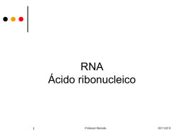 RNA - Comunidades.net
