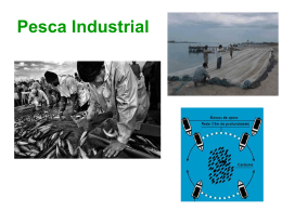 Pesca Industrial