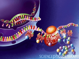 DNA - (LTC) de NUTES