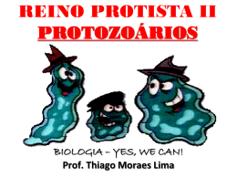 REINO PROTISTA II - Protozoários