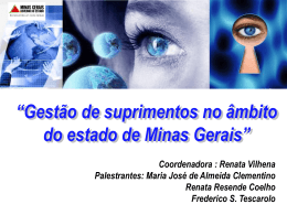 Gestão de Suprimentos no âmbito do Estado de Minas Gerais