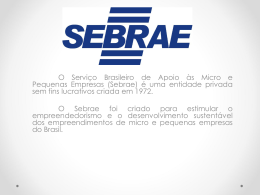 SEBRAE - WordPress.com