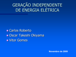 Produtor Independente de Energia Elétrica (PIE)