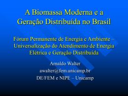 A Biomassa Moderna e a Geração Distribuída no Brasil Forum