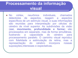 Processamento da informação visual