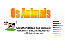 Características dos animais