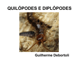Quilopodes e Diplopodes - Colégio Machado de Assis