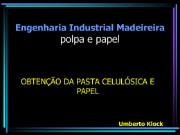 Engenharia Industrial Madeireira AT419 – Polpa e Papel