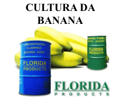 Cultura da Banana -parte 1