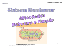 UBA3 BC T mitocondria B
