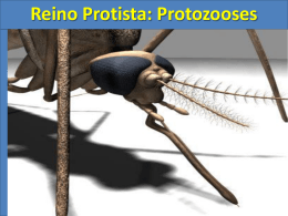 Protozoonoses