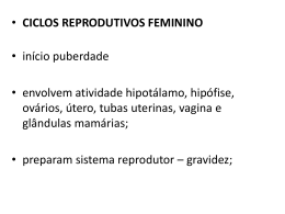 2a aula Ciclo reprodutivo feminino