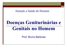 sistema genital masculino - Universidade Castelo Branco