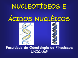 T04 - Ácido Nucleico - FOP