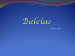 Baleias - WordPress.com