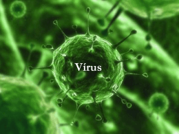 Caracteristicas gerais dos virus
