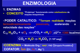 T07 - Enzimologia