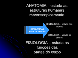 ANATOMIA – estuda as estruturas humanas