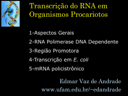 Transcrição do RNA