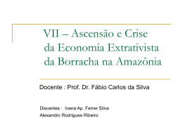 VII – Ascensão e Crise da Economia Extrativista da Borracha na
