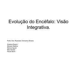 Evolução do Encéfalo: Visão Integrativa.