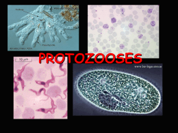 protozooses