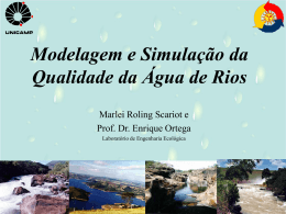 Modelagem do Rio Mogi Guaçu-Pardo